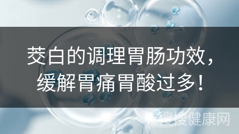 茭白的调理胃肠功效，缓解胃痛胃酸过多！