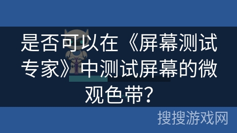是否可以在《屏幕测试专家》中测试屏幕的微观色带？