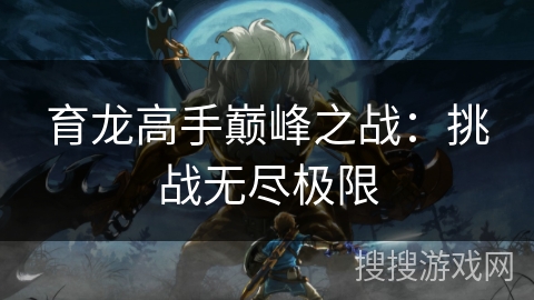 育龙高手巅峰之战：挑战无尽极限