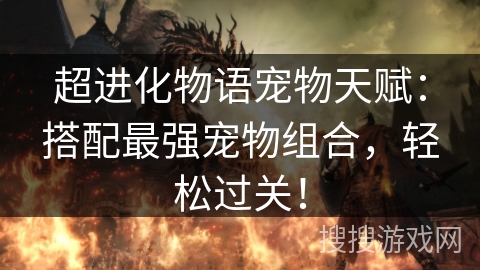 超进化物语宠物天赋：搭配最强宠物组合，轻松过关！