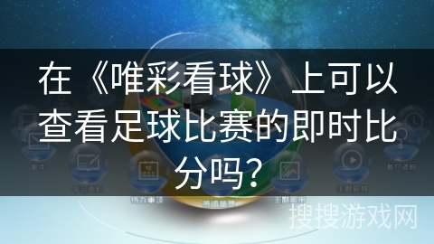 在《唯彩看球》上可以查看足球比赛的即时比分吗？