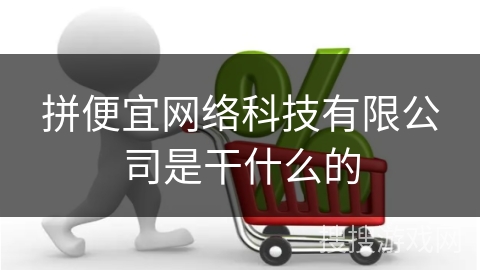 拼便宜网络科技有限公司是干什么的