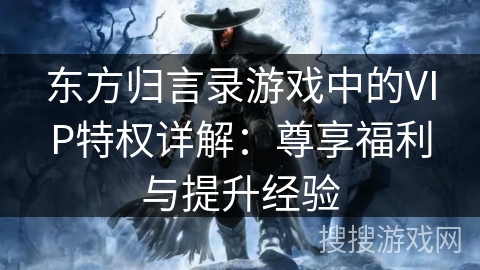 东方归言录游戏中的VIP特权详解：尊享福利与提升经验