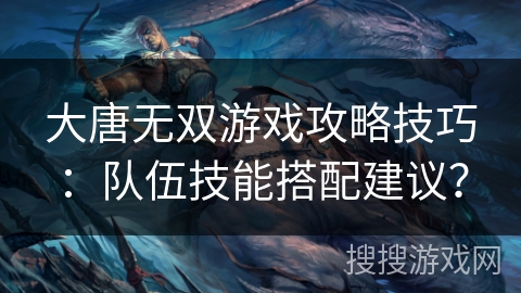 大唐无双游戏攻略技巧：队伍技能搭配建议？