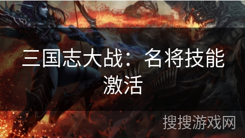 三国志大战：名将技能激活