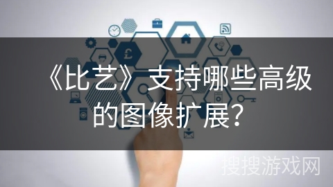 《比艺》支持哪些高级的图像扩展？