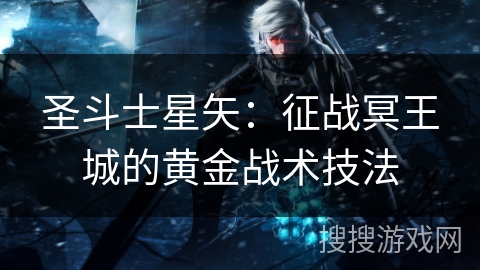 圣斗士星矢：征战冥王城的黄金战术技法
