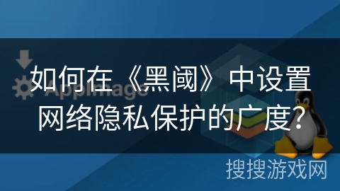 如何在《黑阈》中设置网络隐私保护的广度？