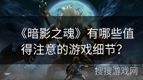 《暗影之魂》有哪些值得注意的游戏细节？