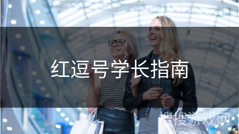 红逗号学长指南