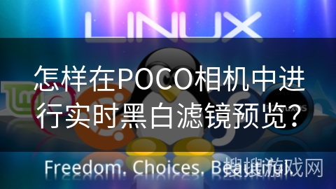 怎样在POCO相机中进行实时黑白滤镜预览？