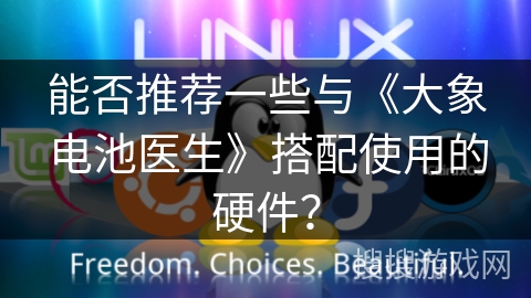 能否推荐一些与《大象电池医生》搭配使用的硬件？