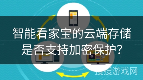 智能看家宝的云端存储是否支持加密保护？