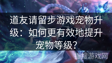 道友请留步游戏宠物升级：如何更有效地提升宠物等级？