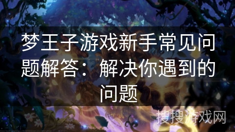 梦王子游戏新手常见问题解答：解决你遇到的问题