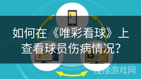 如何在《唯彩看球》上查看球员伤病情况？