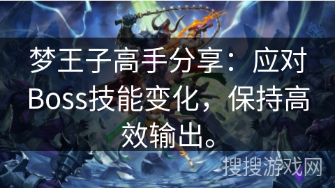 梦王子高手分享：应对Boss技能变化，保持高效输出。