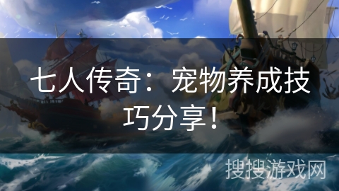 七人传奇：宠物养成技巧分享！