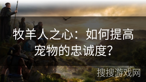 牧羊人之心：如何提高宠物的忠诚度？