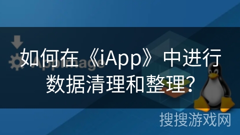 如何在《iApp》中进行数据清理和整理？