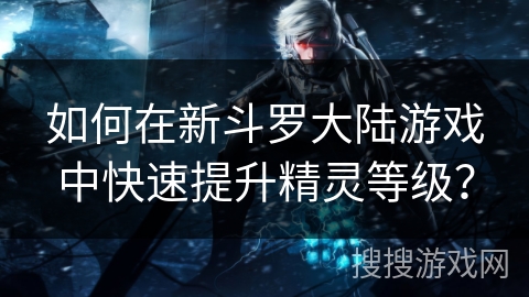 如何在新斗罗大陆游戏中快速提升精灵等级? 如何在新斗罗大陆游戏中快速提升精灵等级?
