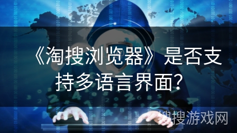 《淘搜浏览器》是否支持多语言界面？