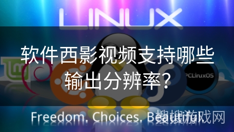 软件西影视频支持哪些输出分辨率？