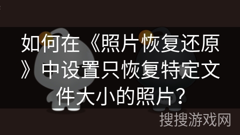 如何在《照片恢复还原》中设置只恢复特定文件大小的照片？