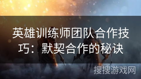 英雄训练师团队合作技巧：默契合作的秘诀