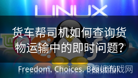 货车帮司机如何查询货物运输中的即时问题？