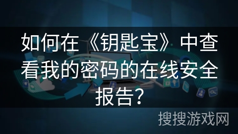如何在《钥匙宝》中查看我的密码的在线安全报告？