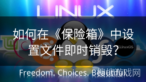 如何在《保险箱》中设置文件即时销毁？