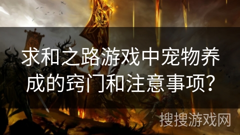 求和之路游戏中宠物养成的窍门和注意事项? 求和之路游戏中宠物养成的窍门和注意事项?
