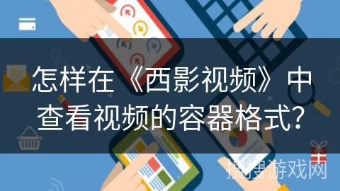 怎样在《西影视频》中查看视频的容器格式？