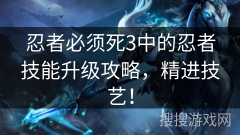 忍者必须死3中的忍者技能升级攻略，精进技艺！