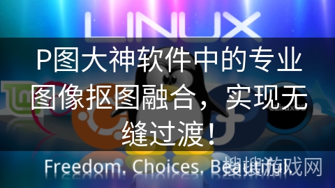 P图大神软件中的专业图像抠图融合，实现无缝过渡！