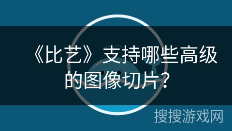 《比艺》支持哪些高级的图像切片？