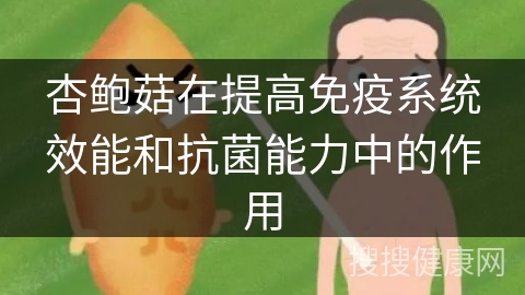 杏鲍菇在提高免疫系统效能和抗菌能力中的作用