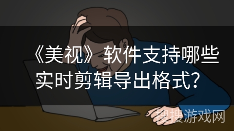《美视》软件支持哪些实时剪辑导出格式？