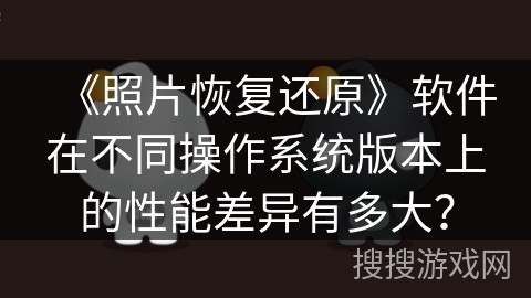 《照片恢复还原》软件在不同操作系统版本上的性能差异有多大？