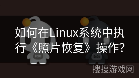 如何在Linux系统中执行《照片恢复》操作？