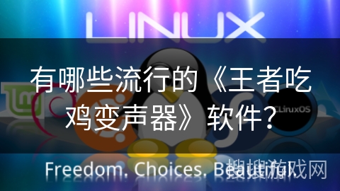 有哪些流行的《王者吃鸡变声器》软件？