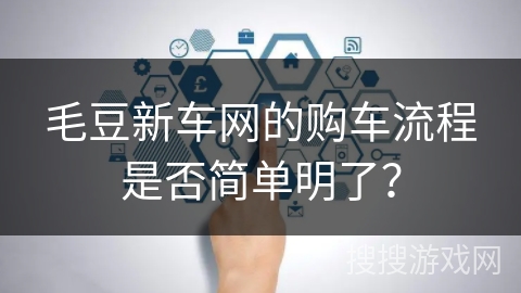 毛豆新车网的购车流程是否简单明了？