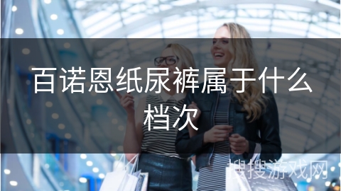 百诺恩纸尿裤属于什么档次