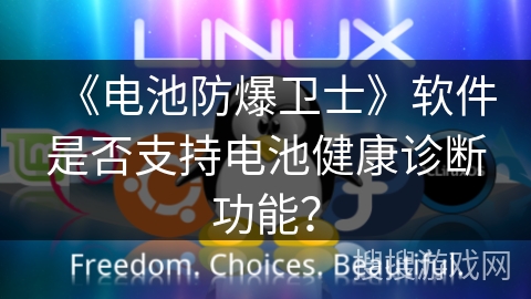 《电池防爆卫士》软件是否支持电池健康诊断功能？