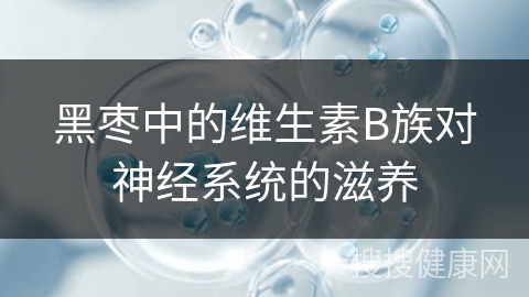 黑枣中的维生素B族对神经系统的滋养