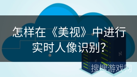 怎样在《美视》中进行实时人像识别？