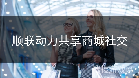 顺联动力共享商城社交