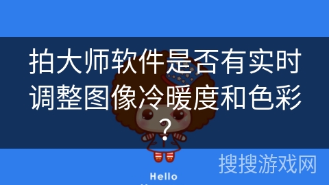 拍大师软件是否有实时调整图像冷暖度和色彩？