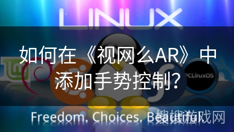 如何在《视网么AR》中添加手势控制？